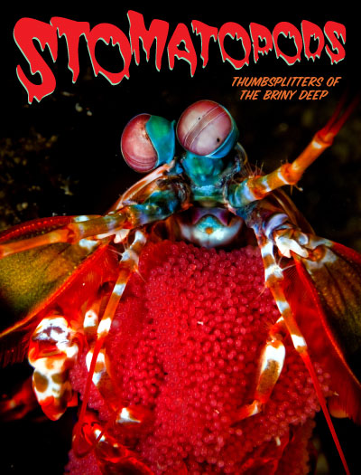 Stomatopods