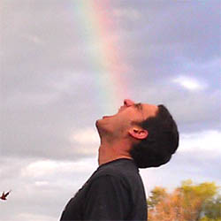 Dan Bonomo