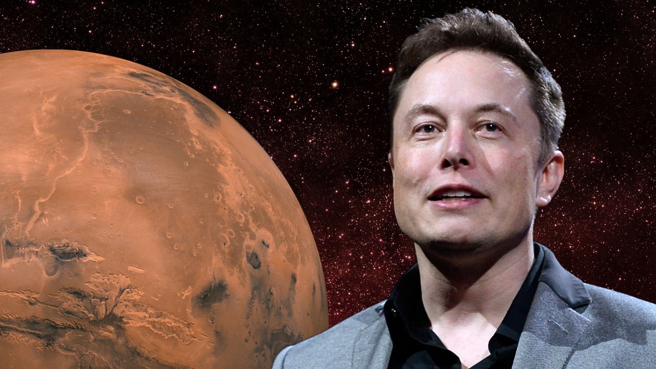 Top 7 Reasons Why Aunt Linda Is Not Going With Elon Musk to Mars